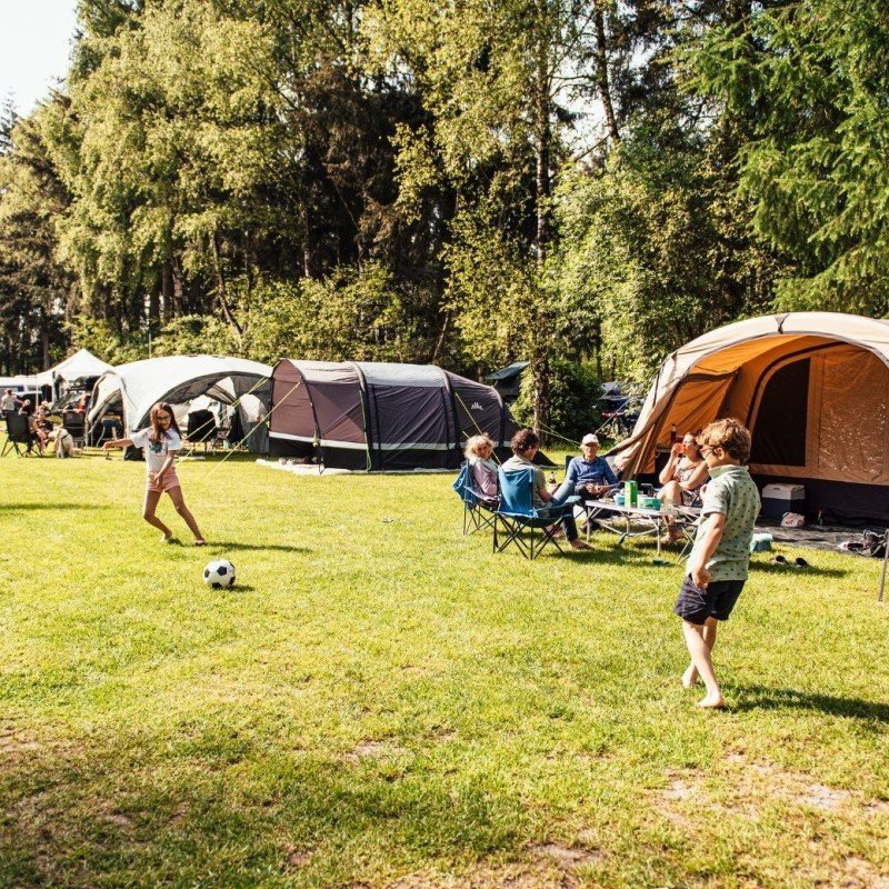 September-Arrangement